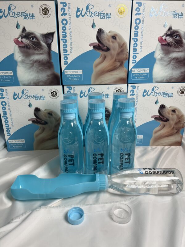 Customize birthday party gift water - Image 2