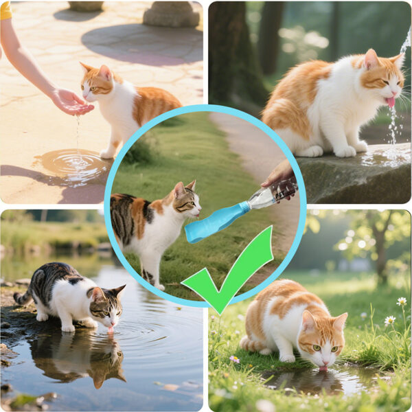 Pet Companion Pet Mineral Water - Image 3