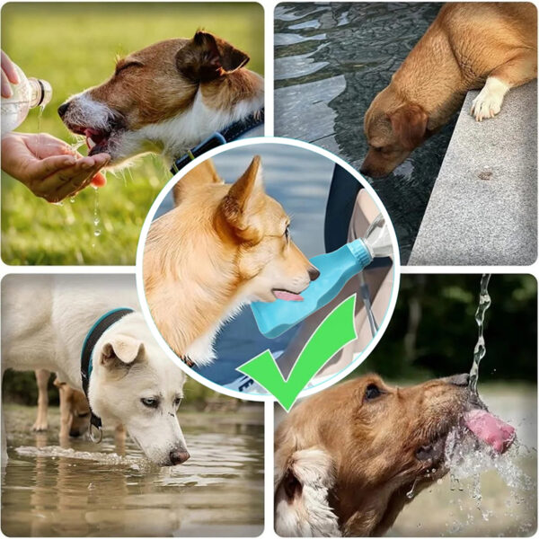 Pet Companion Pet Mineral Water - Image 3
